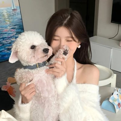 好人、巴特与洛基